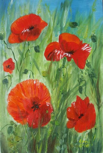 mohn-oil1