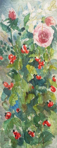 Hagebutte-mit-rose