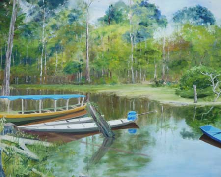 Amazonas