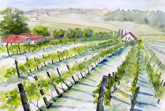15-Weinberge