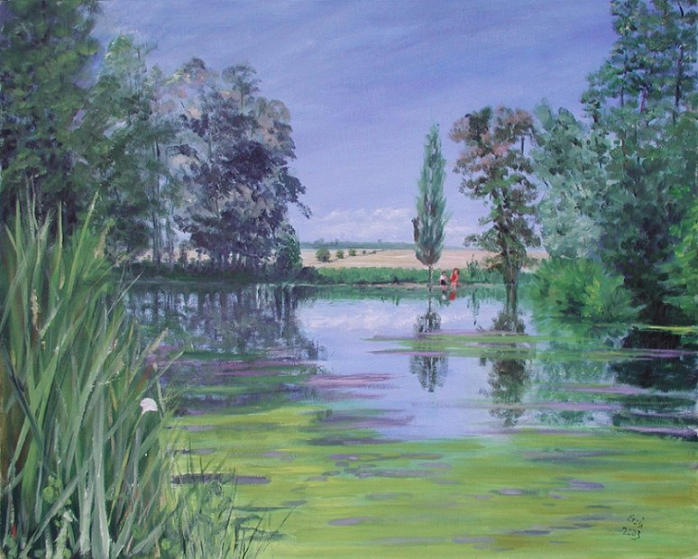45-Dachauer-moos
