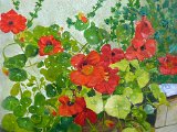 9-Nasturtium in my garden.jpg